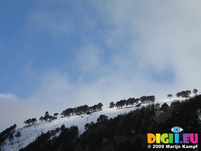 SX02795 Blue sky over trees on snowy Camaderry mountain